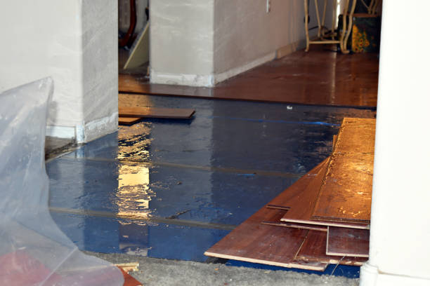 Professional Burst Pipe Cleanup technician working in Cable, OH